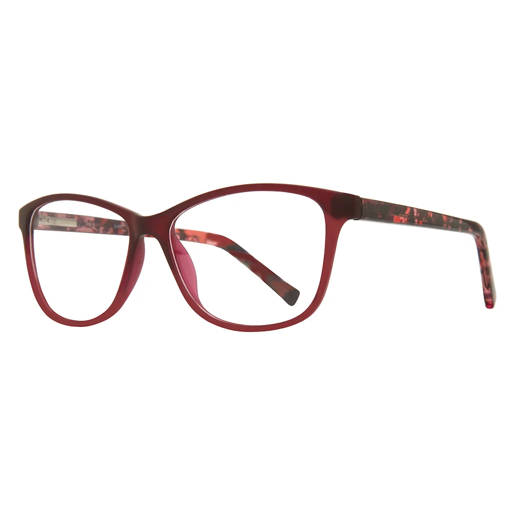 Stylewise Eyeglasses SW455