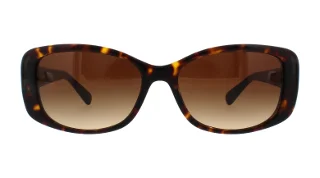 Coach Sunglasses HC8168 L156