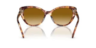 Ralph Lauren Sunglasses RL8215BU