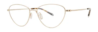 Paradigm Eyeglasses 20-03