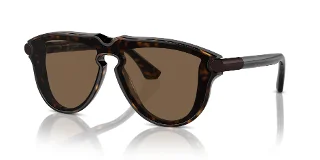 300273 Dark Havana