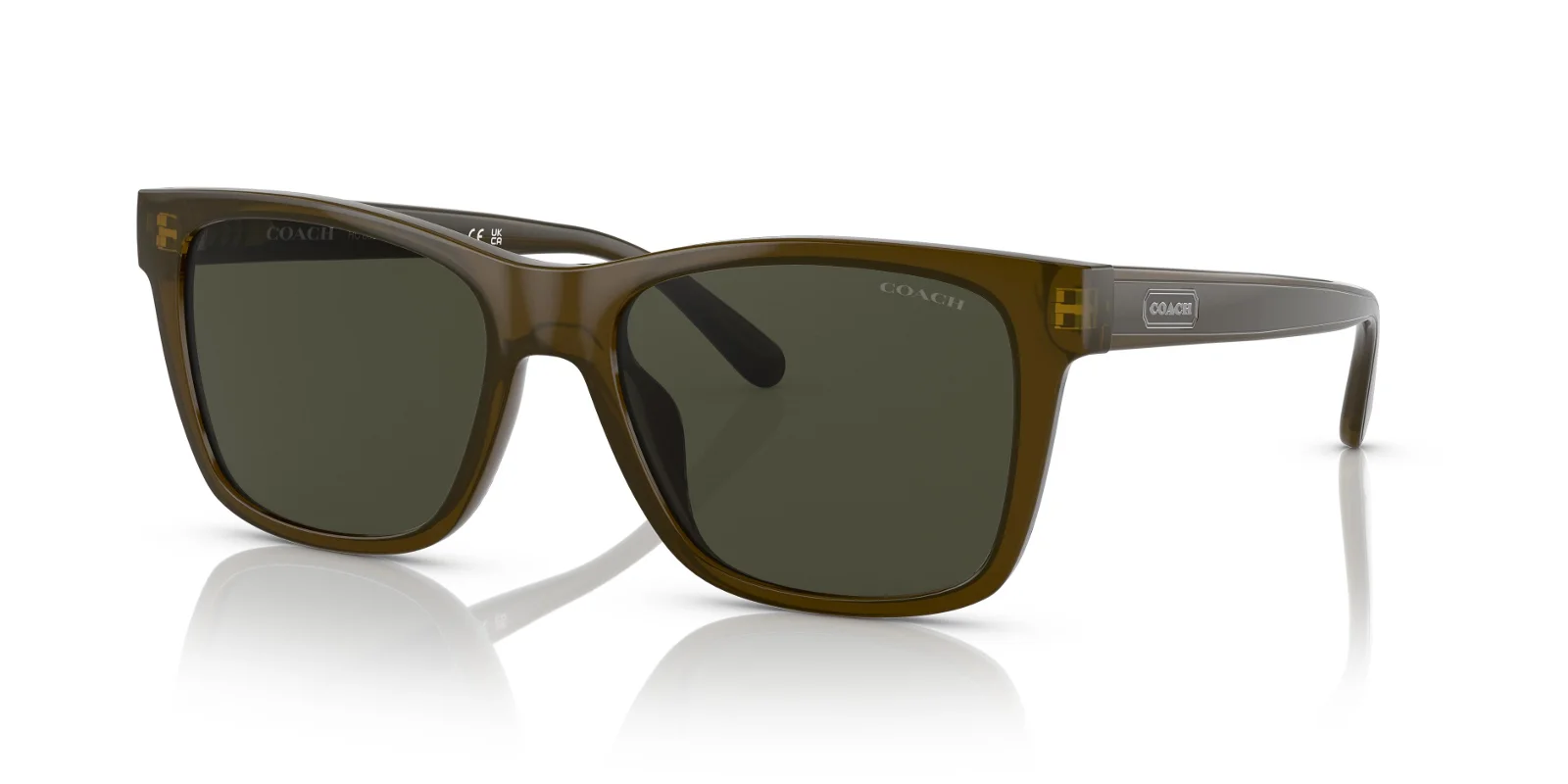 Coach Sunglasses HC8359U