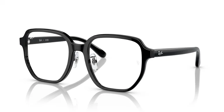 Ray Ban Eyeglasses RX5424D