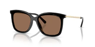 333273 Black