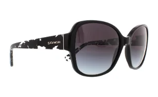 Coach Sunglasses HC8166 L154