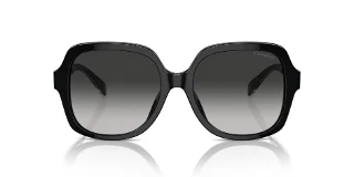 Coach Sunglasses HC8395F