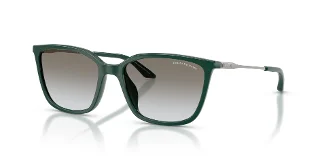 840911 Shiny Dark Green