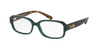 5451 Teal/Dark Tort Gold Sig C