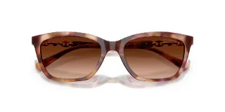 Emporio Armani Sunglasses EA4238