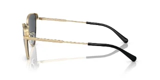 Michael Kors Sunglasses MK1140