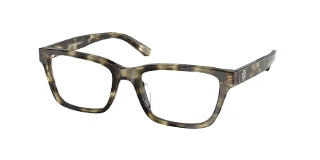 1847 Striped Olive Tortoise