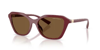 838773 Shiny Bordeaux