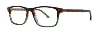 Green Tortoise