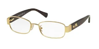 9243 Satin Gold/Dark Tortoise