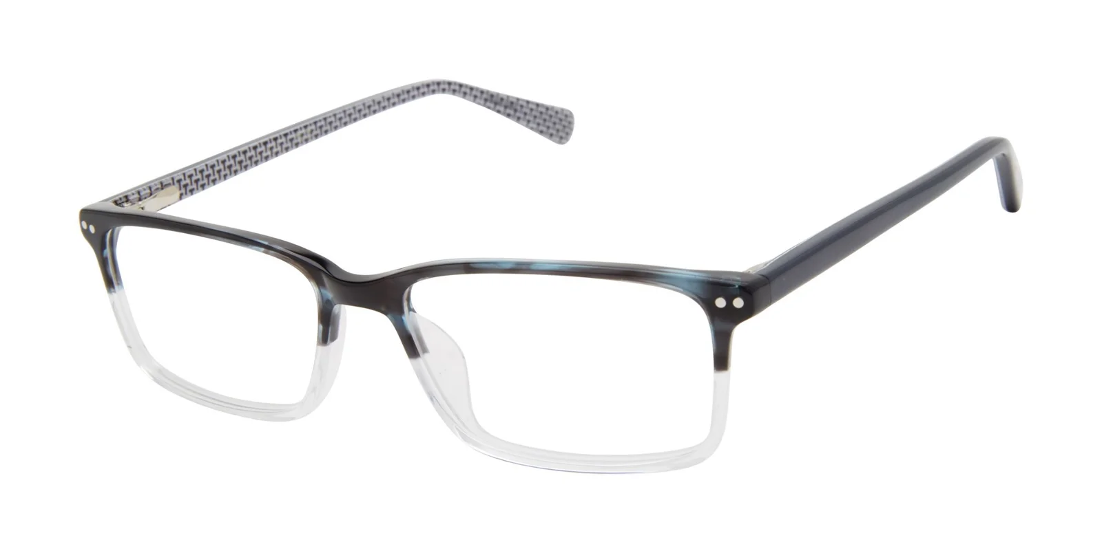 Ted Baker Eyeglasses B979