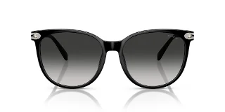 Coach Sunglasses HC8414BD