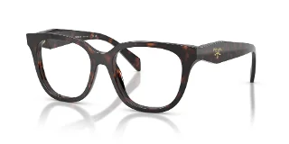17N1O1 Root Tortoise