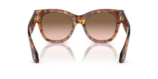 Giorgio Armani Sunglasses AR8195U