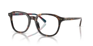 6213 Shiny Dark Havana