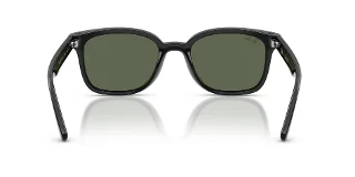 Ray Ban Sunglasses RB4461D