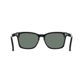 Salvatore Ferragamo Sunglasses SF2086SE