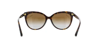 Michael Kors Sunglasses MK2045 Jan