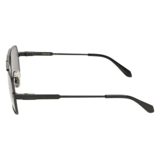 Salvatore Ferragamo Sunglasses SF332S