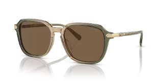 579773 Transparent Green Tan Gradient