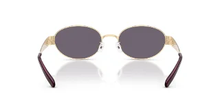 Tory Burch Sunglasses TY6116