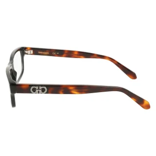 Salvatore Ferragamo Eyeglasses SF3061