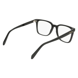 Salvatore Ferragamo Eyeglasses SF3067