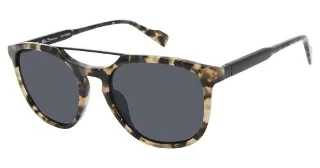 C02 Tortoise