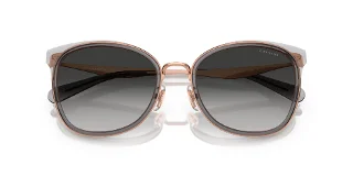 Coach Sunglasses HC7170
