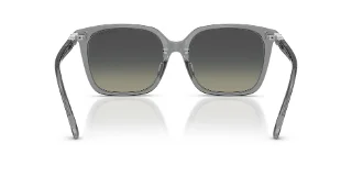 Swarovski Sunglasses SK6053D