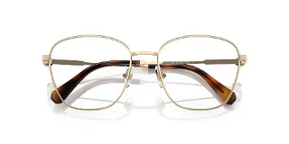 Swarovski Eyeglasses SK1019