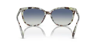 Coach Sunglasses HC8378U