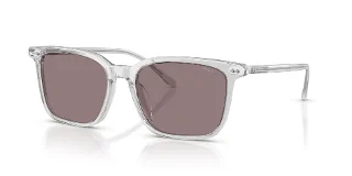59587N Shiny Transparent Grey