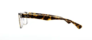 Ray Ban Eyeglasses RX5286