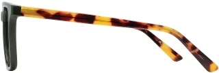 Adin Thomas Eyeglasses AT-STUDIO 010