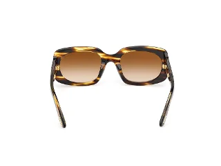 Tom Ford Icon Sunglasses FT1253