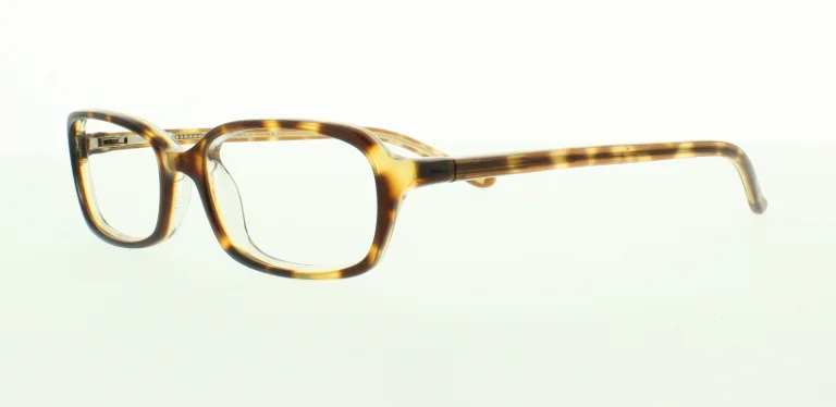 Polo Eyeglasses PP8502