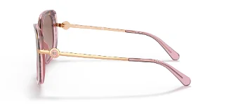 Coach Sunglasses HC8320