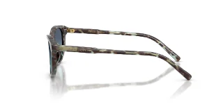 Dolce & Gabbana Sunglasses DX4010