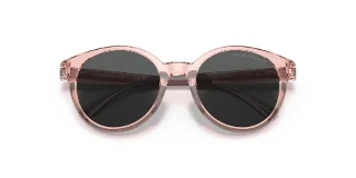 Emporio Armani Sunglasses EK4185F