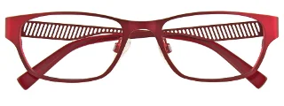 Easyclip Eyeglasses EC310