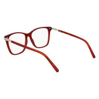 Salvatore Ferragamo Eyeglasses SF3013