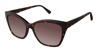 S412-Sfs-2006 Tortoise