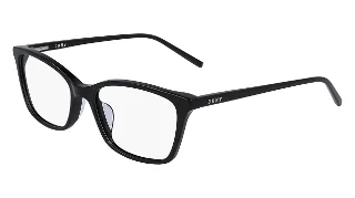 Dkny Eyeglasses DK5013