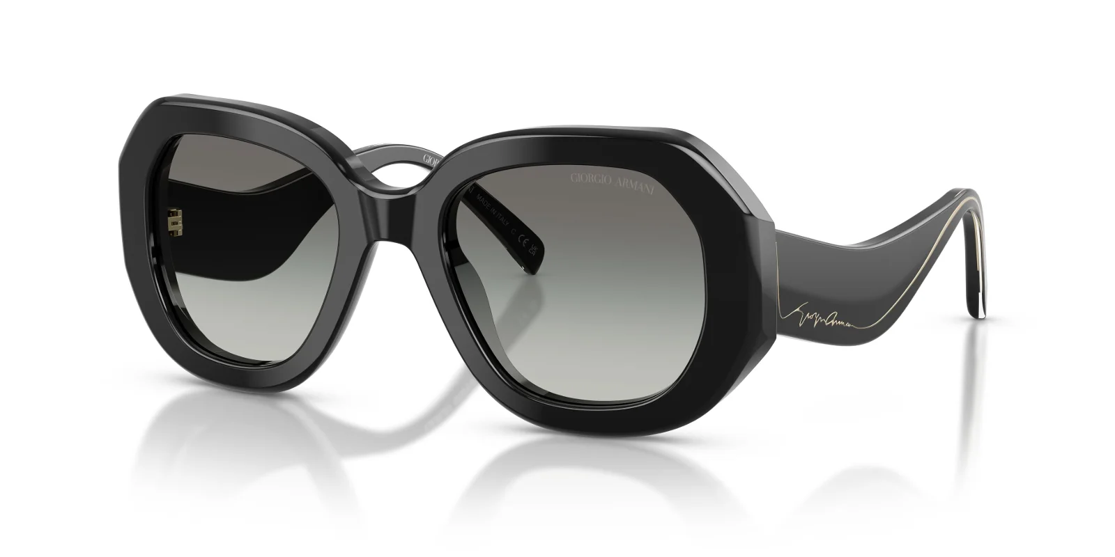 Giorgio Armani Sunglasses AR8248