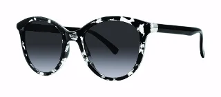 Modz Sunz Sunglasses Clearwater